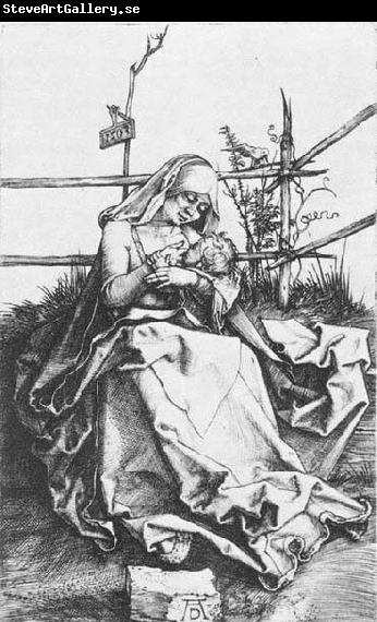 Albrecht Durer Madonna on a Grassy Bench